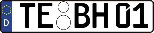 TE-BH01