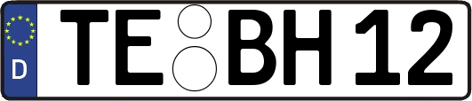 TE-BH12