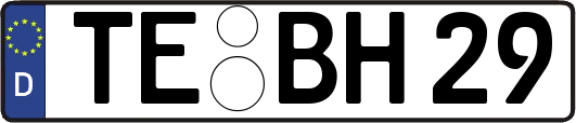 TE-BH29