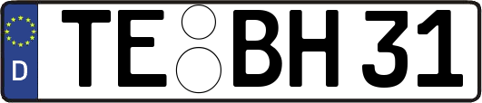 TE-BH31