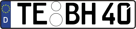 TE-BH40