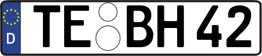 TE-BH42