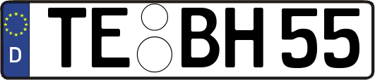 TE-BH55