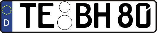 TE-BH80