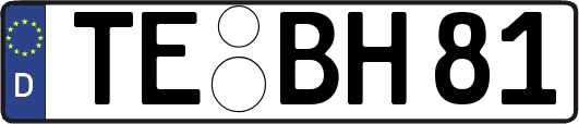 TE-BH81