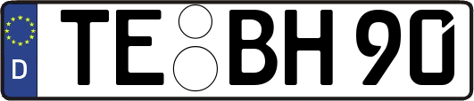 TE-BH90