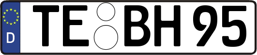 TE-BH95