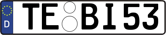 TE-BI53