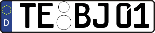 TE-BJ01