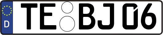 TE-BJ06