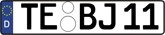 TE-BJ11