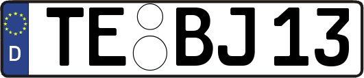 TE-BJ13