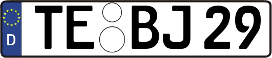TE-BJ29