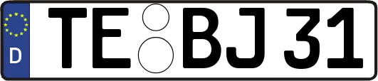 TE-BJ31