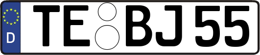 TE-BJ55