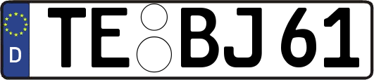 TE-BJ61