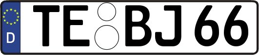 TE-BJ66