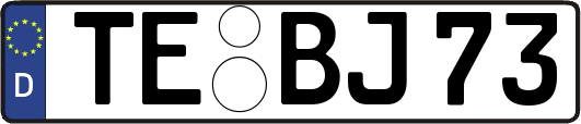 TE-BJ73