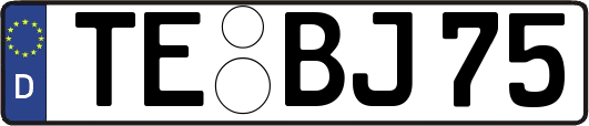 TE-BJ75