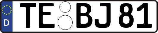 TE-BJ81