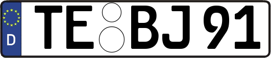 TE-BJ91