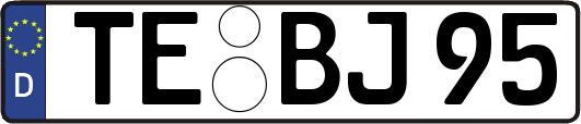 TE-BJ95