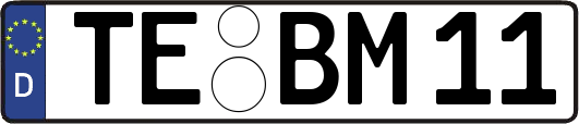 TE-BM11
