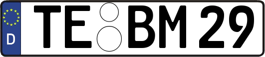 TE-BM29