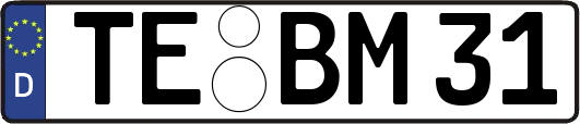 TE-BM31