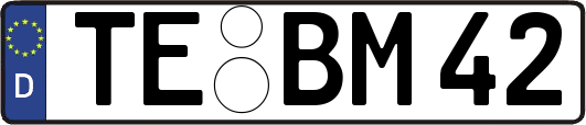 TE-BM42