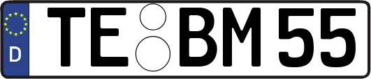TE-BM55