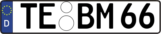 TE-BM66