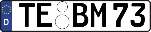 TE-BM73