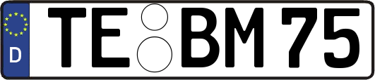 TE-BM75