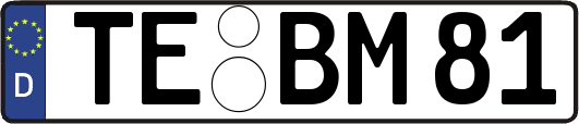 TE-BM81