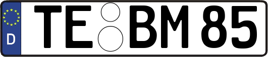 TE-BM85