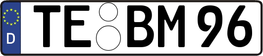 TE-BM96