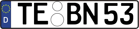 TE-BN53