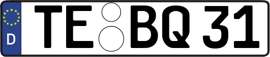 TE-BQ31