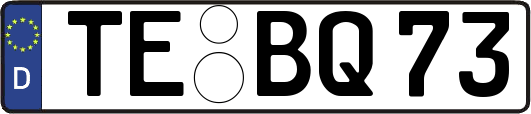 TE-BQ73
