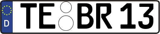 TE-BR13