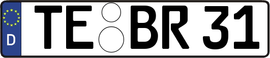 TE-BR31