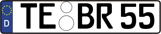 TE-BR55