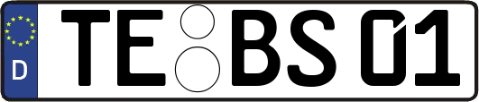 TE-BS01