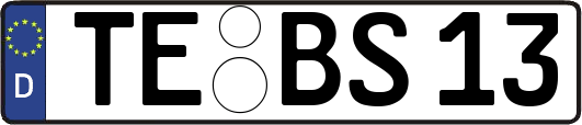TE-BS13