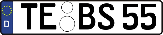 TE-BS55