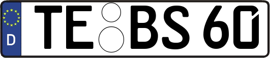 TE-BS60