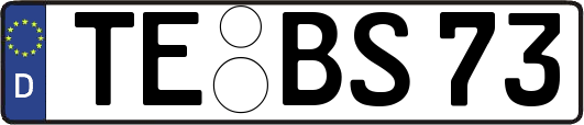 TE-BS73