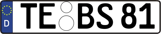 TE-BS81