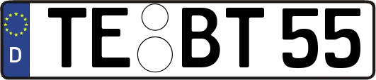 TE-BT55